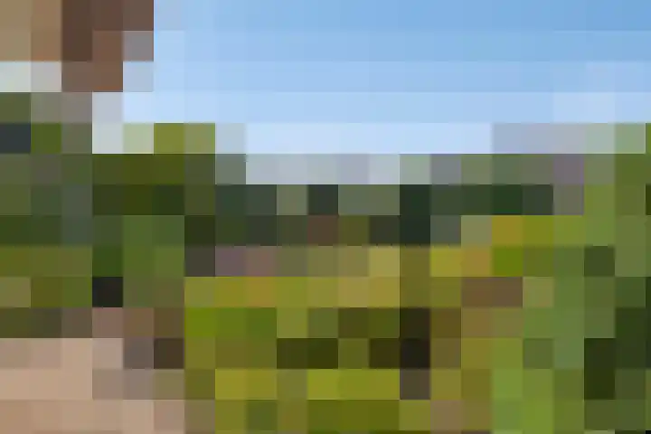 Papenstraat 7 Bemmel thumbnail 8