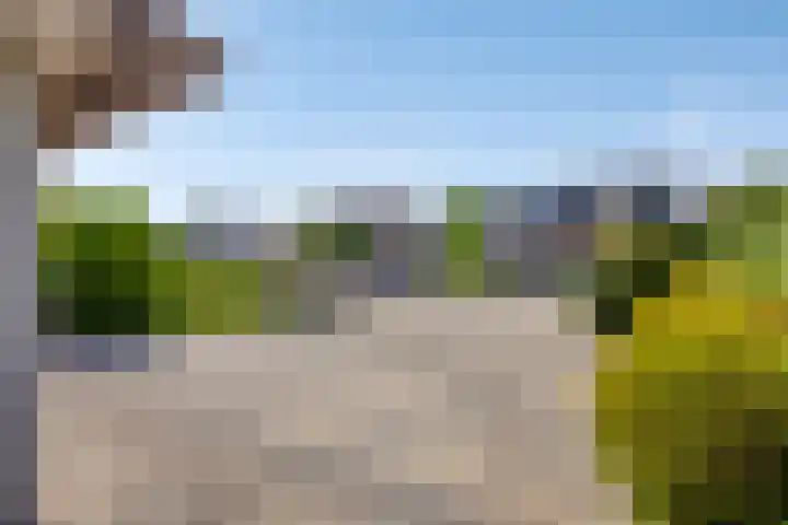Papenstraat 7 Bemmel thumbnail 9