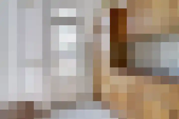 Papenstraat 9 Hilvarenbeek thumbnail 13