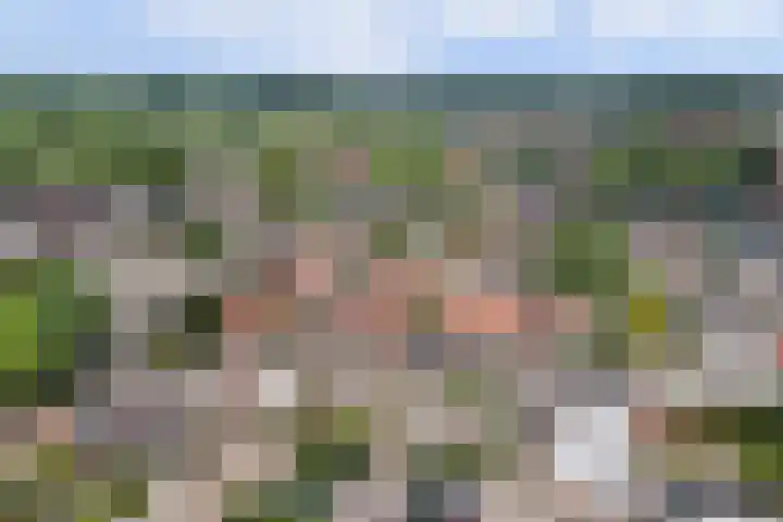 Papenstraat 9 Hilvarenbeek thumbnail 38