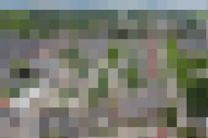 Papenstraat 9 Hilvarenbeek thumbnail 40