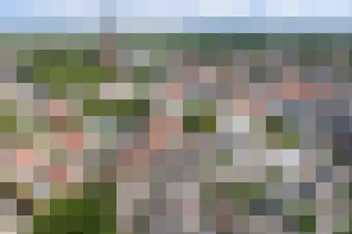 Papenstraat 9 Hilvarenbeek thumbnail 41