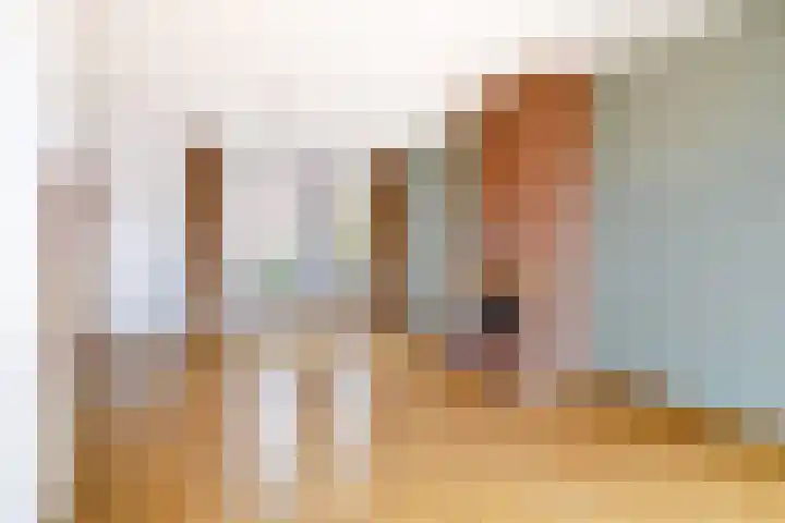 Papenstraat 9 Hilvarenbeek thumbnail 8