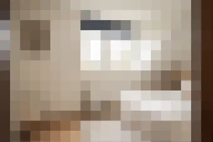 Papentorenvest 12 RD Haarlem thumbnail 30