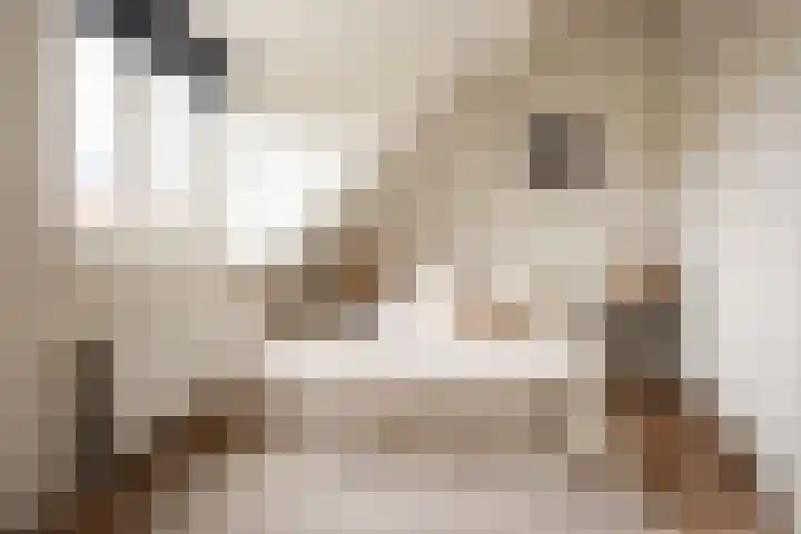 Papentorenvest 12 RD Haarlem thumbnail 31