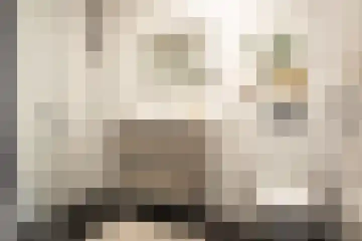 Papentorenvest 12 RD Haarlem thumbnail 33