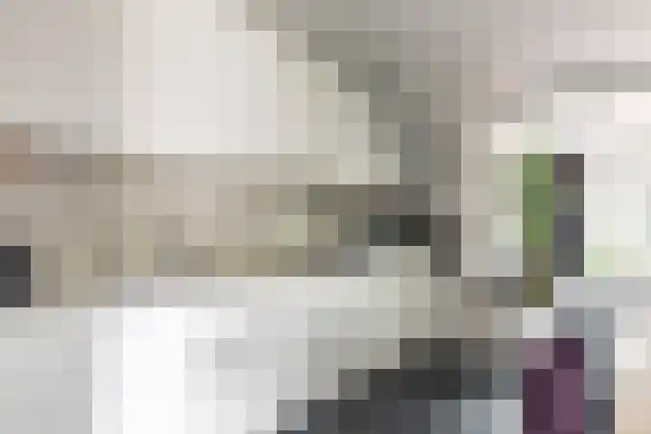 Papentorenvest 32 Haarlem thumbnail 10