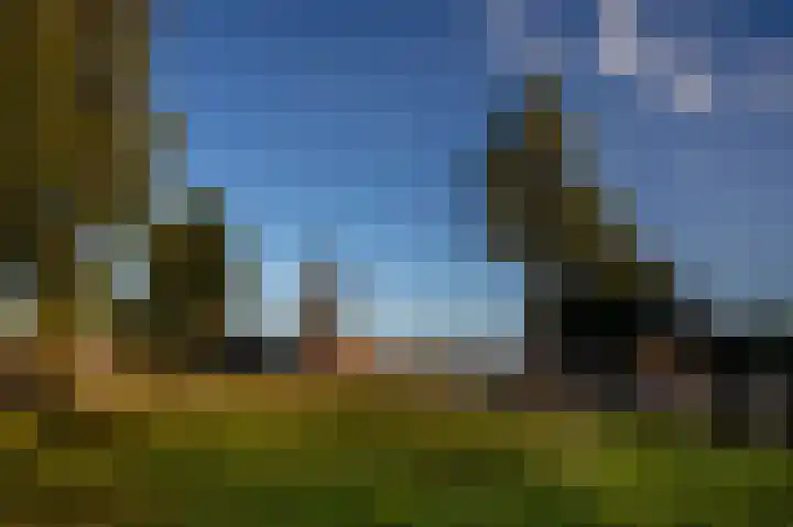 Papentorenvest 32 Haarlem thumbnail 17
