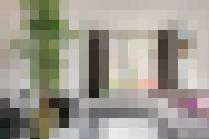 Papentorenvest 32 Haarlem thumbnail 4