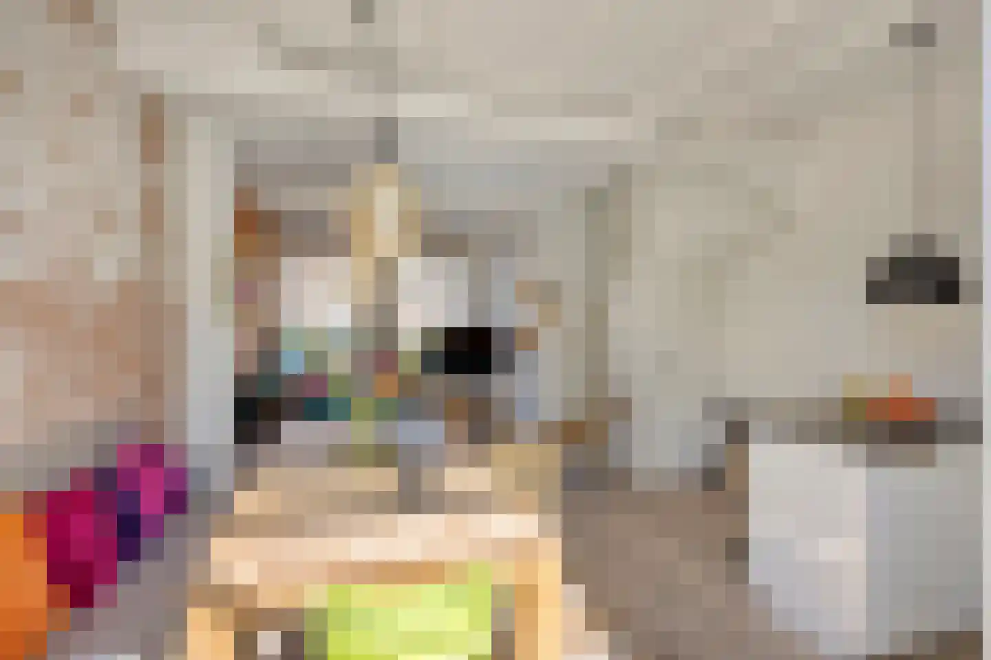 Papentorenvest 64 Haarlem thumbnail 10