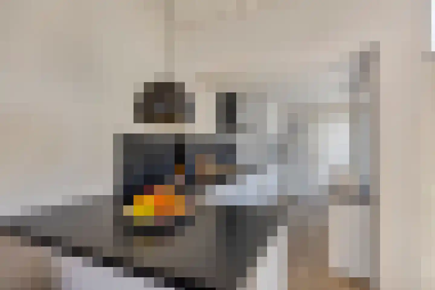 Papentorenvest 64 Haarlem thumbnail 11