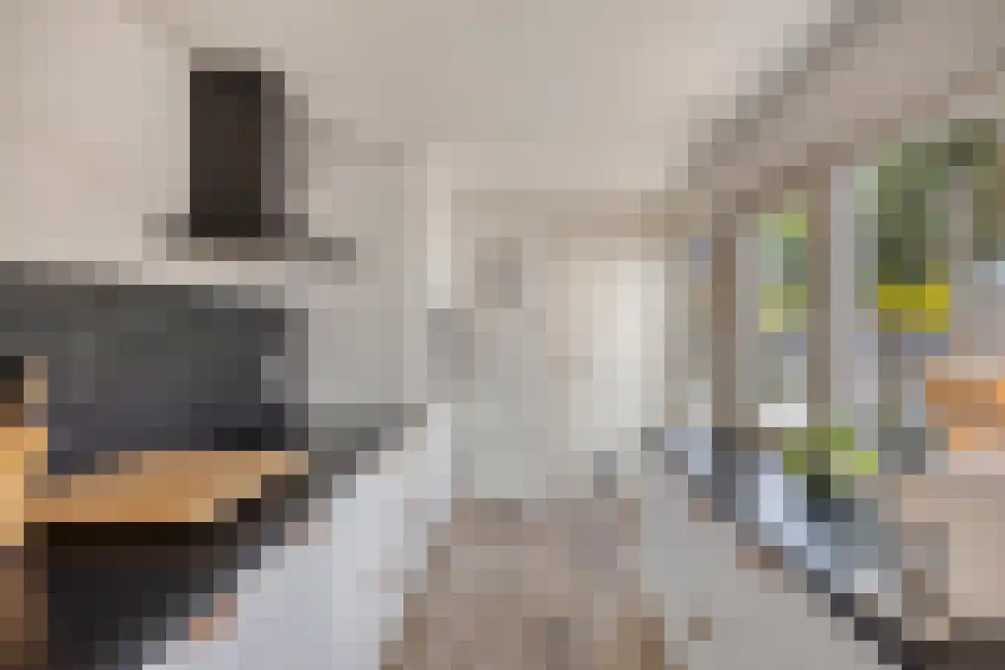 Papentorenvest 64 Haarlem thumbnail 12