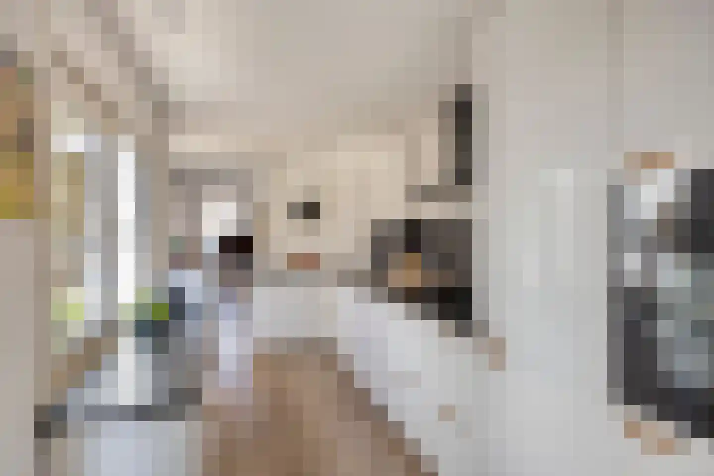 Papentorenvest 64 Haarlem thumbnail 13