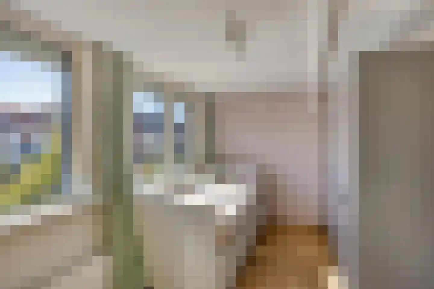 Papentorenvest 64 Haarlem thumbnail 18