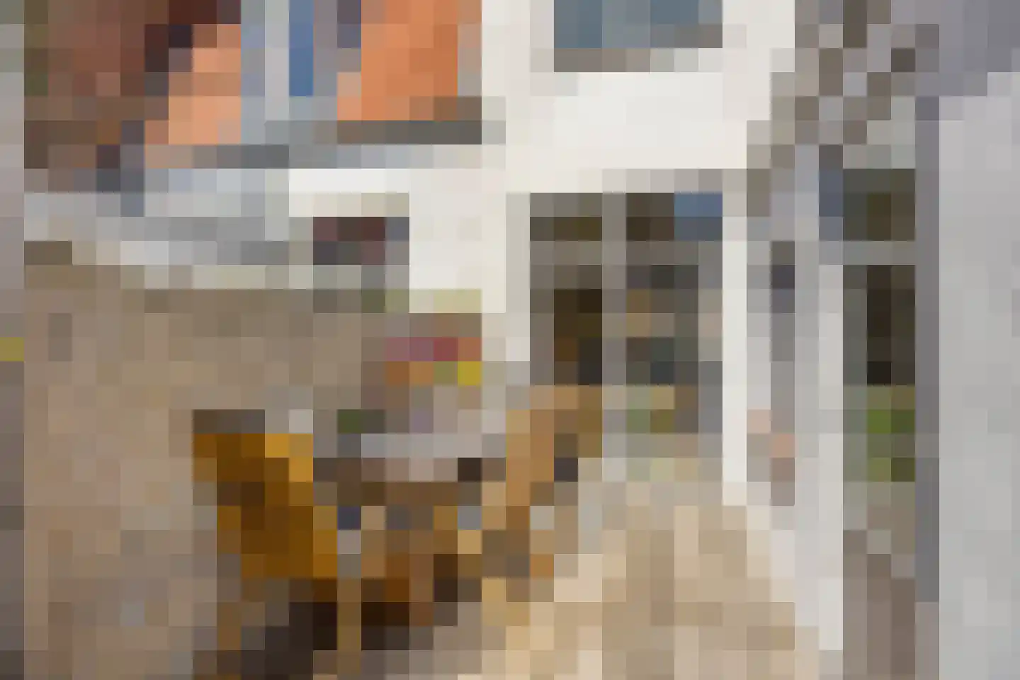 Papentorenvest 64 Haarlem thumbnail 32
