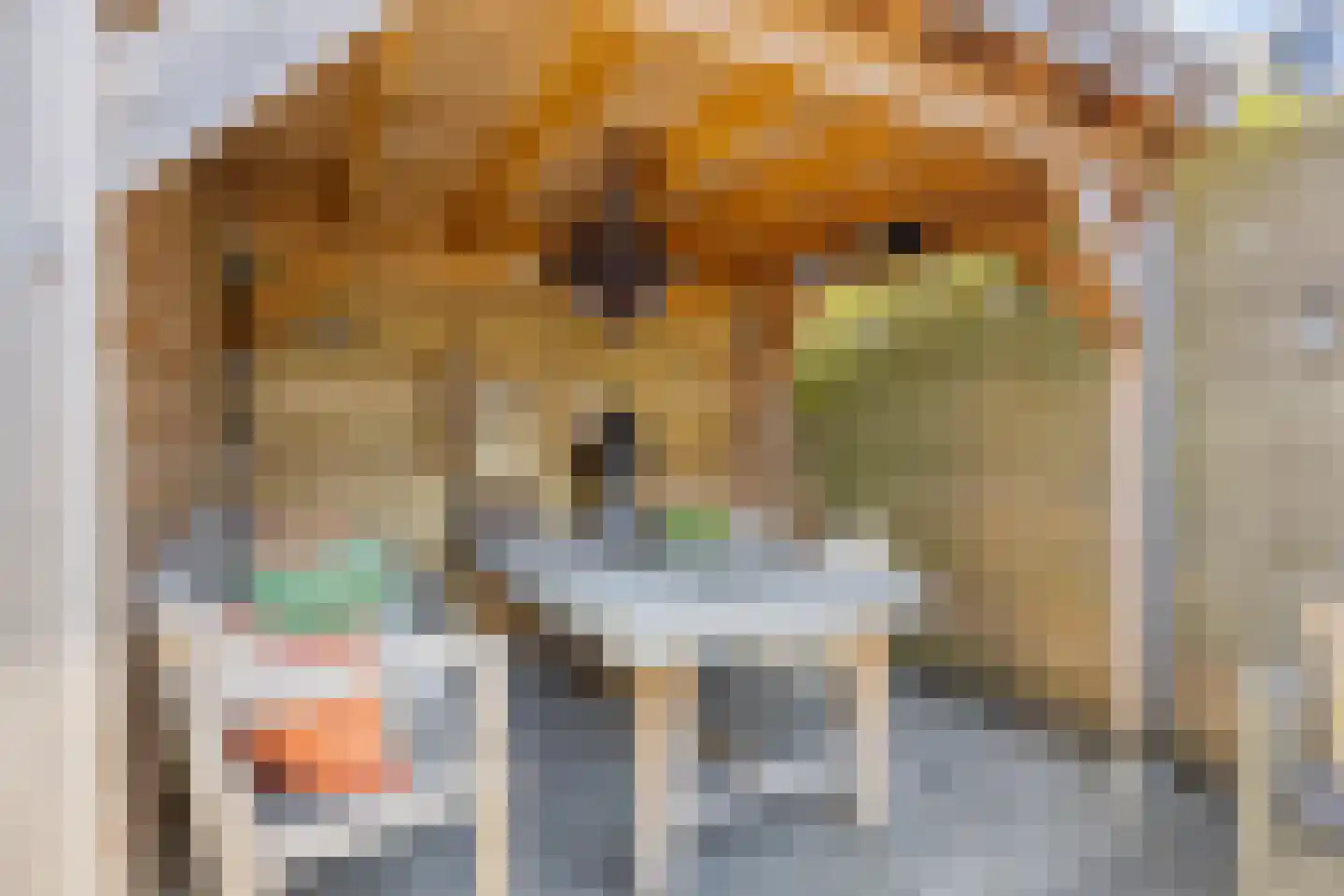 Papentorenvest 64 Haarlem thumbnail 32