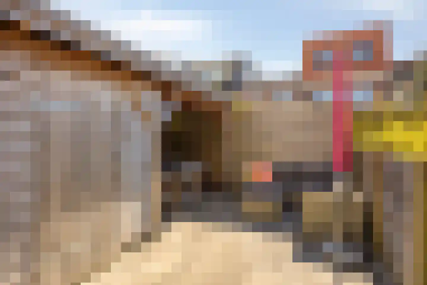 Papentorenvest 64 Haarlem thumbnail 33