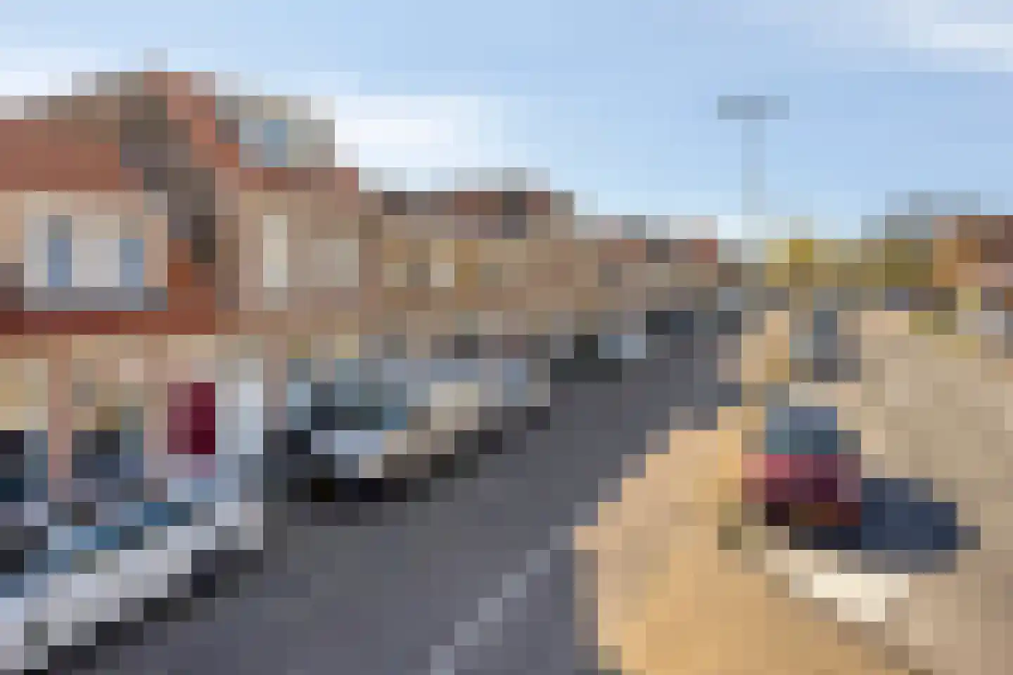 Papentorenvest 64 Haarlem thumbnail 36