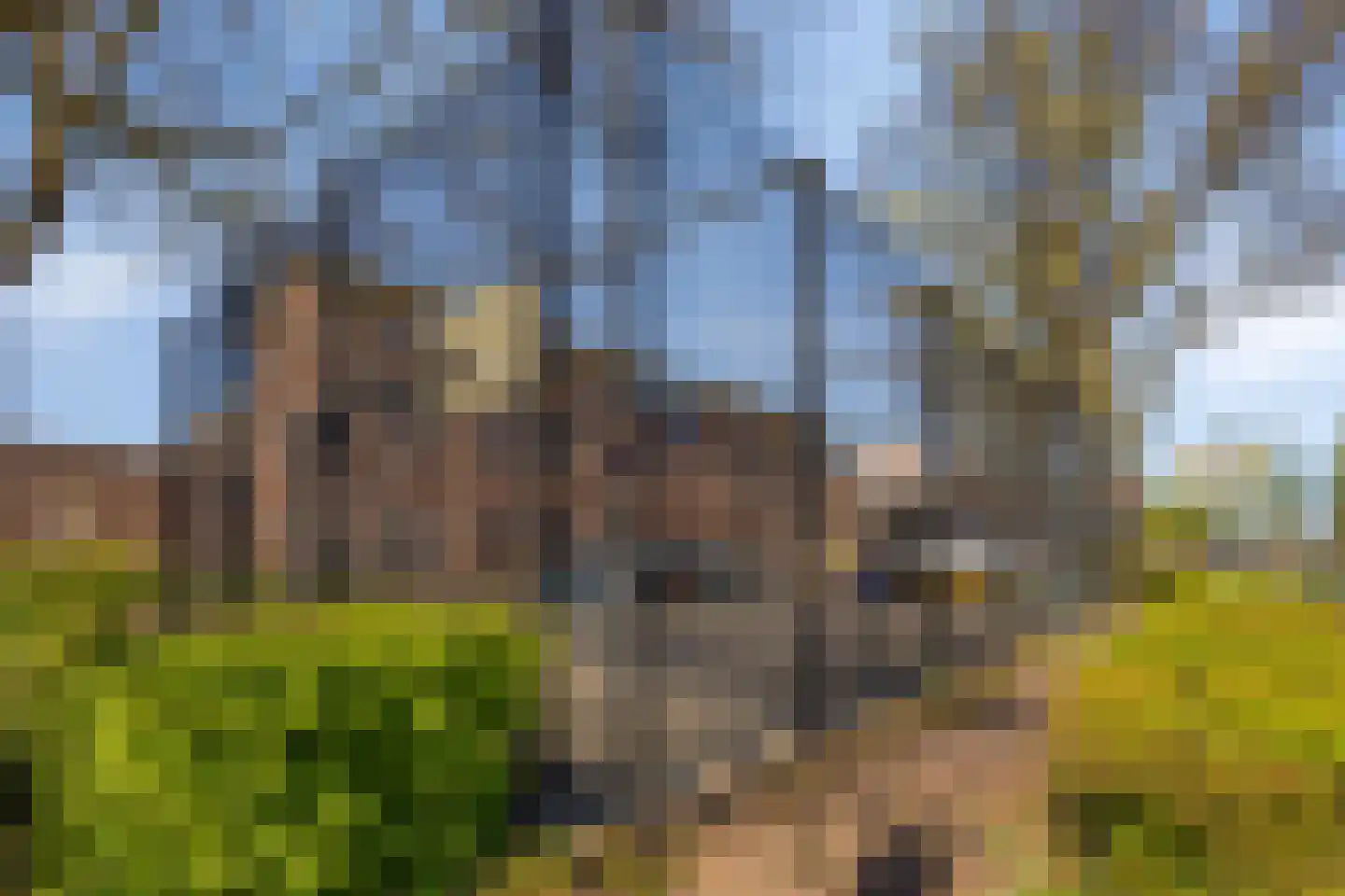 Papentorenvest 64 Haarlem thumbnail 49