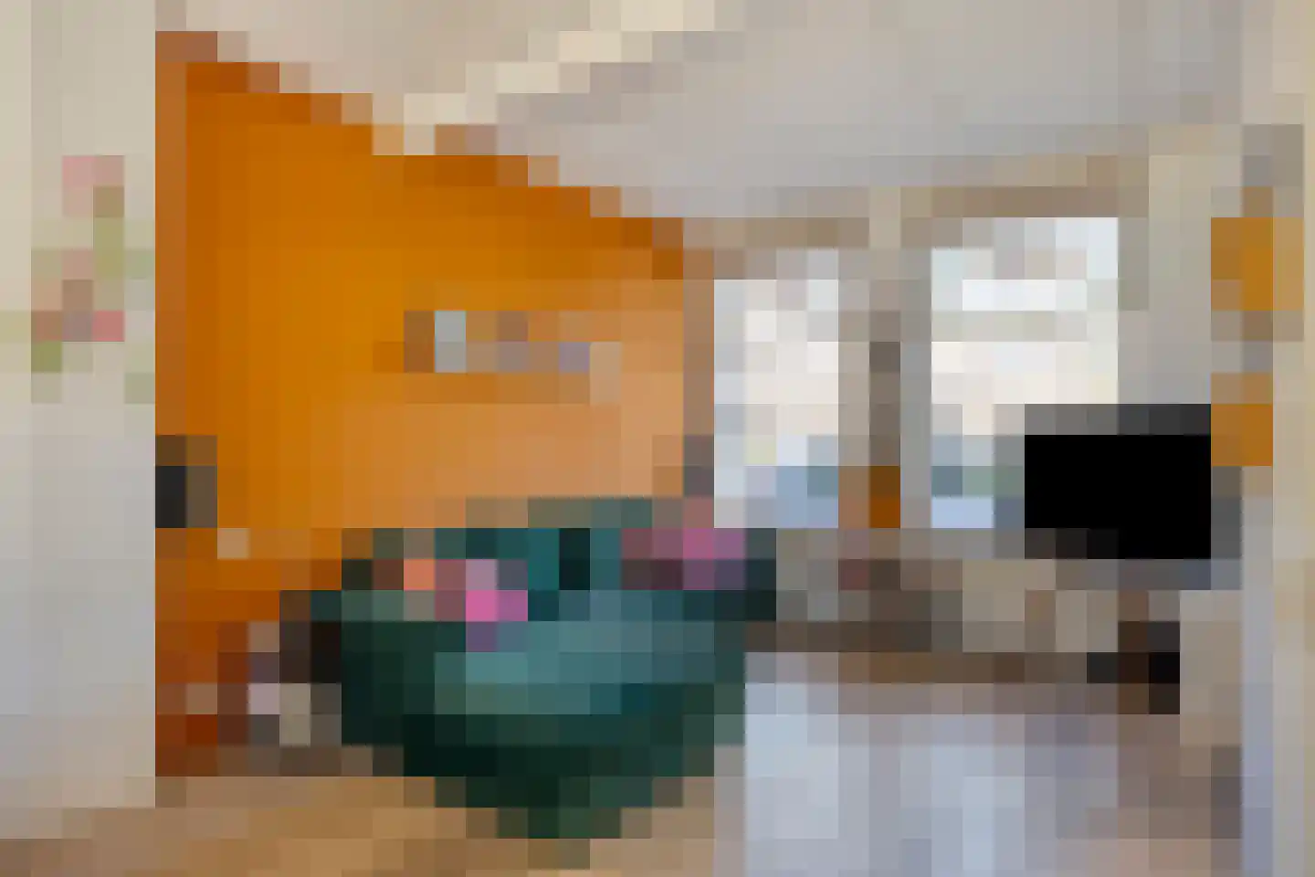 Papentorenvest 64 Haarlem thumbnail 5