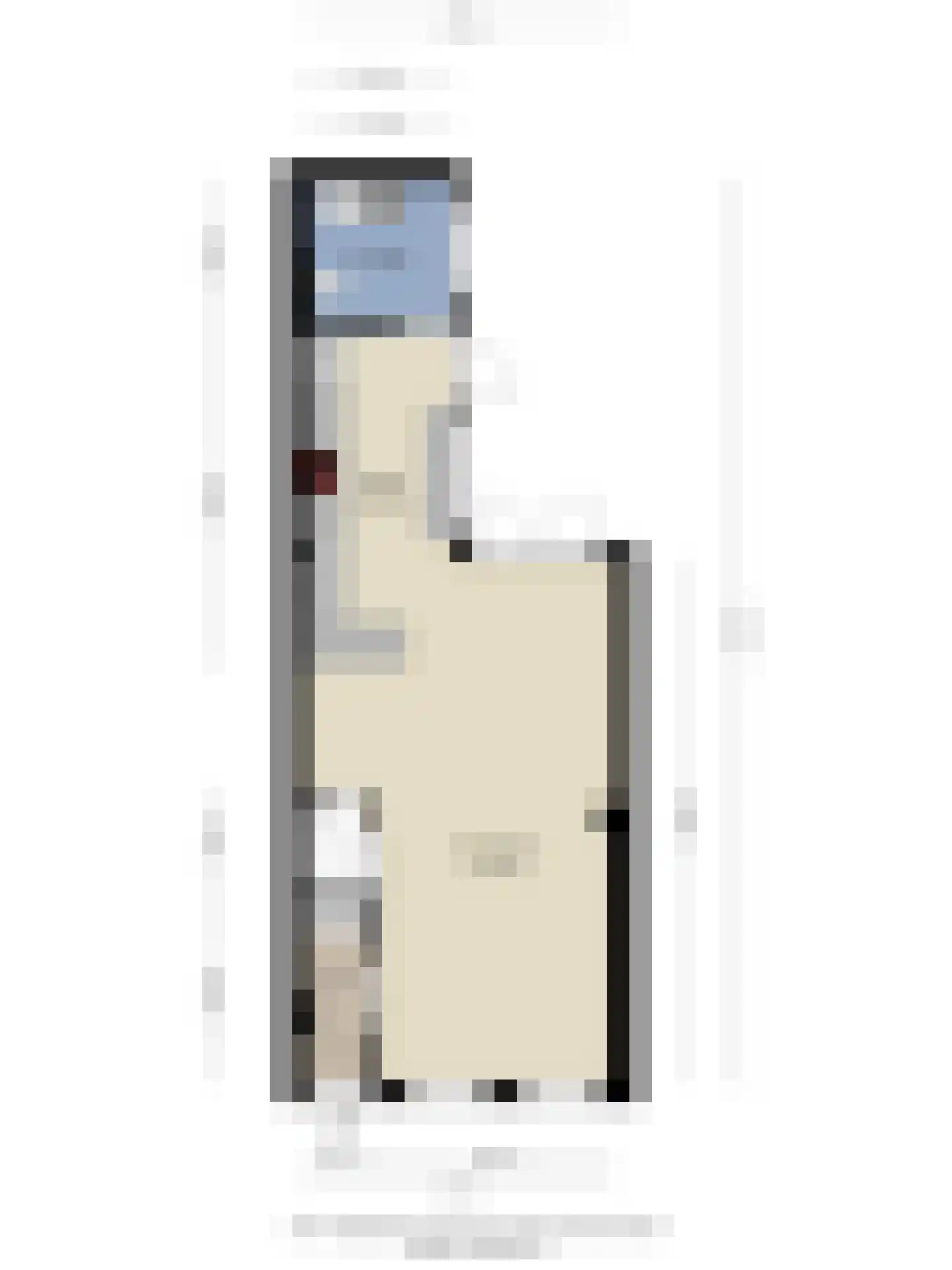 Papentorenvest 64 Haarlem thumbnail 50