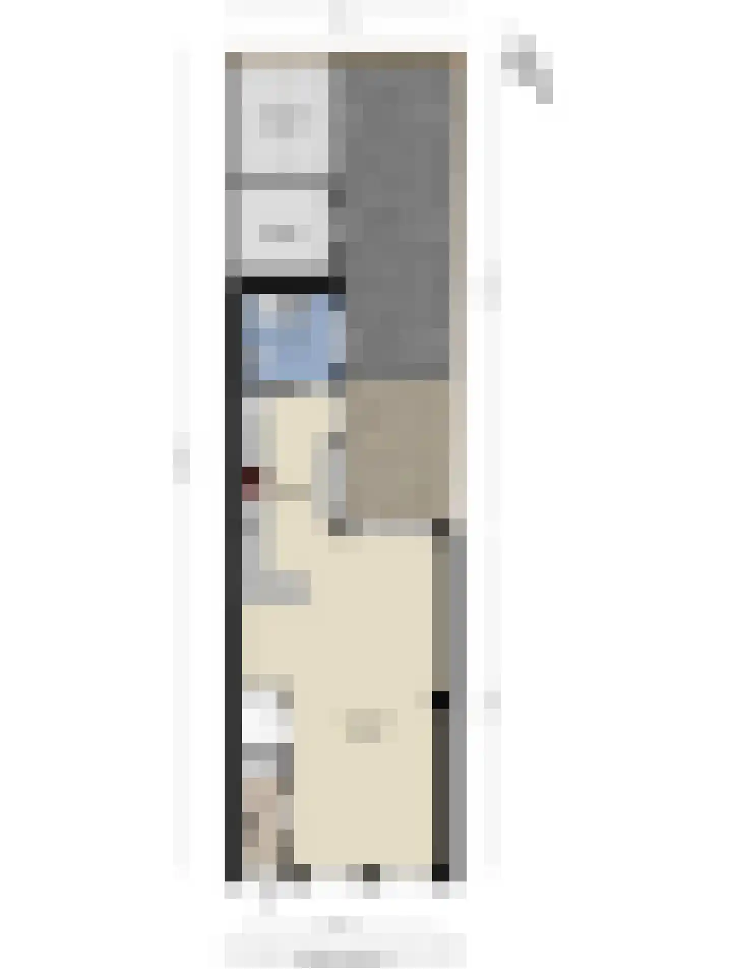 Papentorenvest 64 Haarlem thumbnail 50