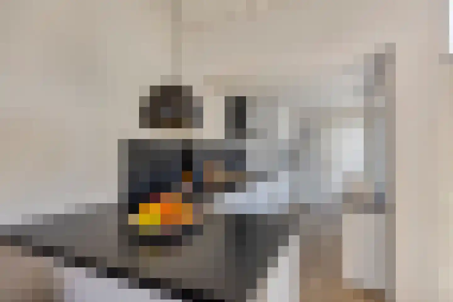 Papentorenvest 64 Haarlem thumbnail 9