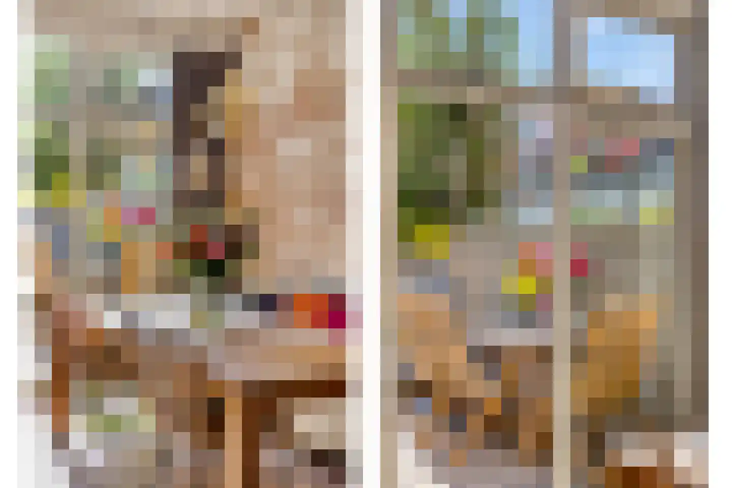 Papentorenvest 64 Haarlem thumbnail 9