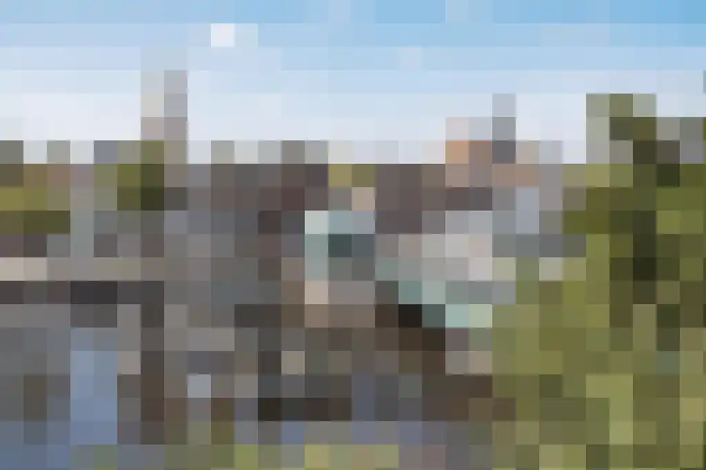 Papentorenvest 80 ZW Haarlem thumbnail 33