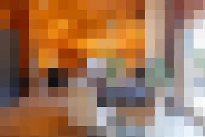 Papenveld 5 Markelo thumbnail 12