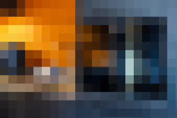 Papenveld 5 Markelo thumbnail 15