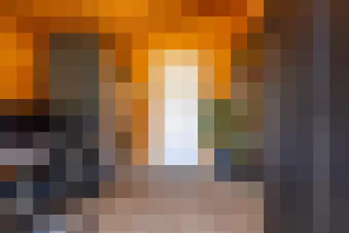 Papenveld 5 Markelo thumbnail 16