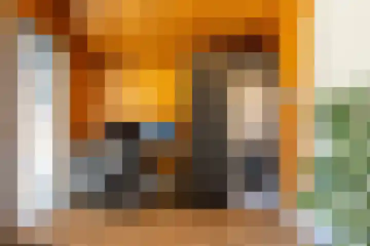 Papenveld 5 Markelo thumbnail 17