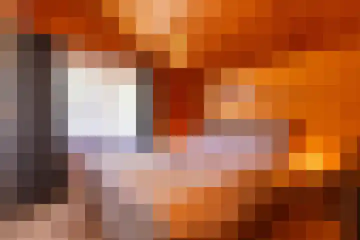 Papenveld 5 Markelo thumbnail 18