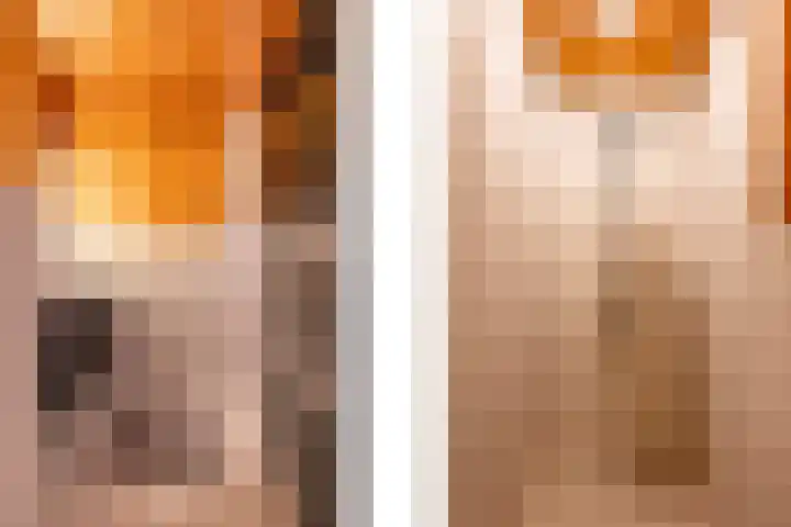 Papenveld 5 Markelo thumbnail 21