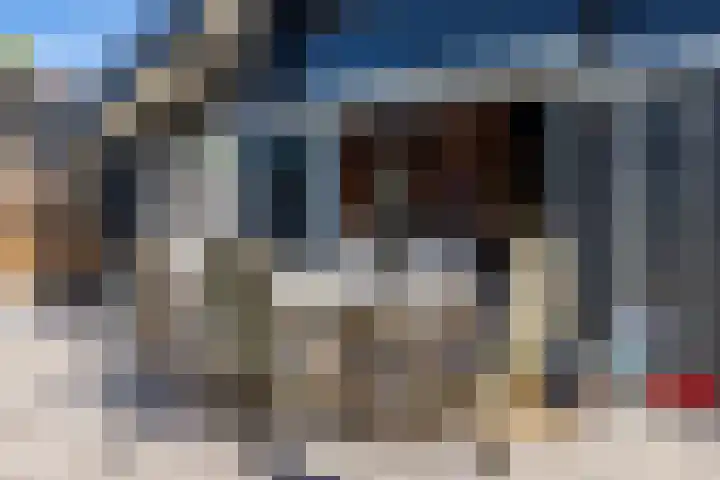 Papenveld 5 Markelo thumbnail 23
