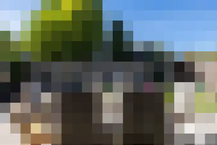 Papenveld 5 Markelo thumbnail 24