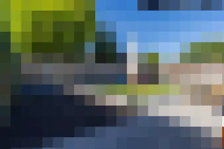 Papenveld 5 Markelo thumbnail 27