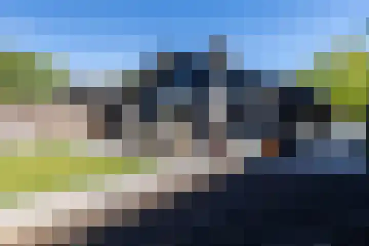 Papenveld 5 Markelo thumbnail 28