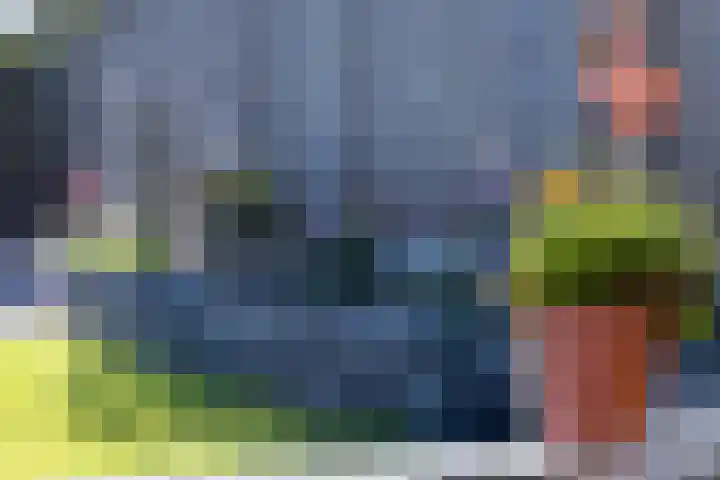 Papenveld 5 Markelo thumbnail 29