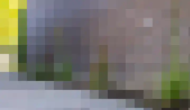 Papenveld 5 Markelo thumbnail 31