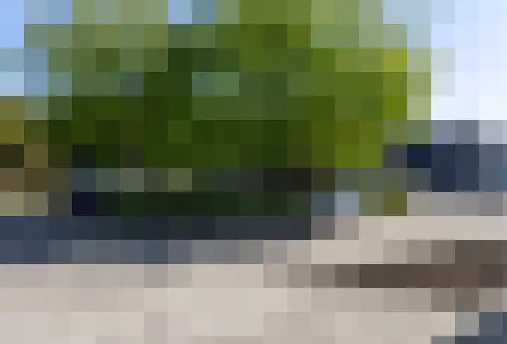 Papenveld 5 Markelo thumbnail 34