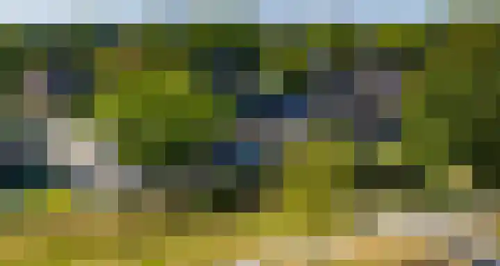 Papenveld 5 Markelo thumbnail 35