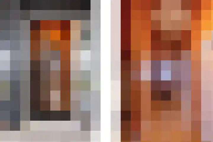 Papenveld 5 Markelo thumbnail 4