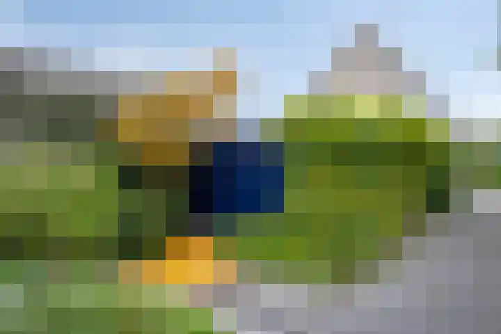 Papenven 31 Roden thumbnail 16