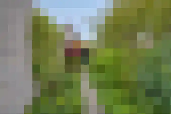 Papenven 31 Roden thumbnail 17