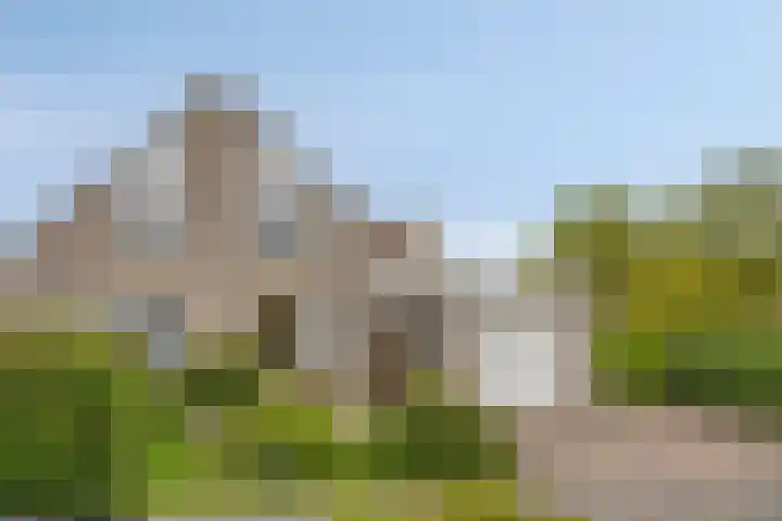 Papenven 31 Roden thumbnail 24