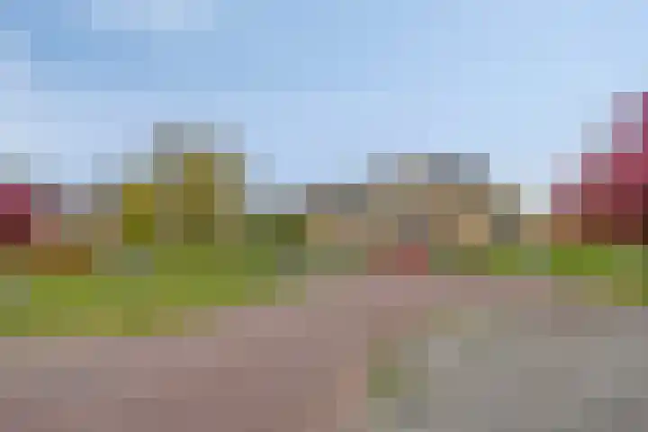 Papenven 31 Roden thumbnail 26