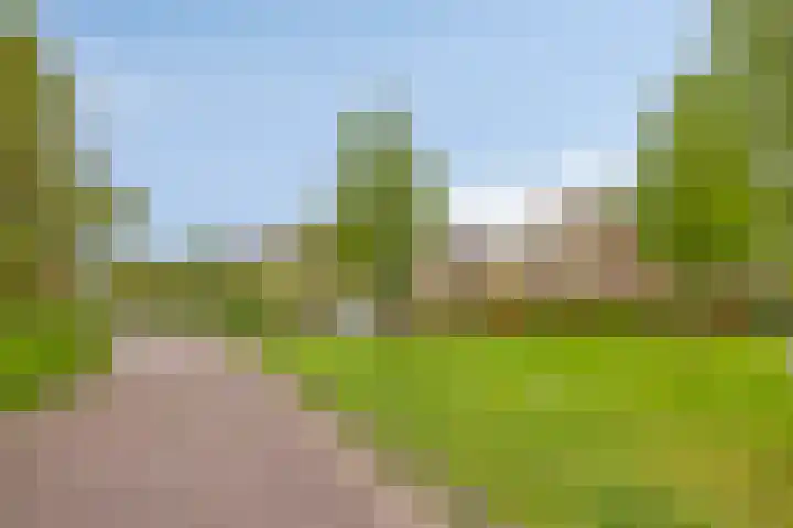 Papenven 31 Roden thumbnail 27