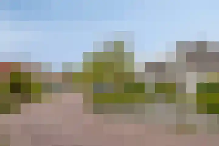 Papenven 31 Roden thumbnail 28